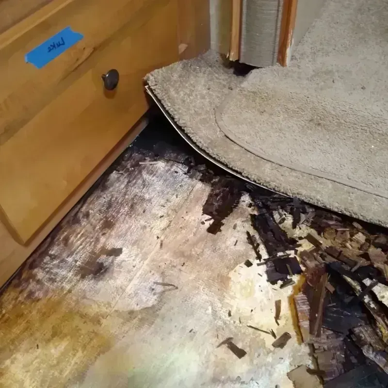 Best Wood Floor Water Damage Service in Covedale, OH